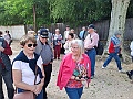 05_rico_20240524_151540