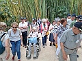 11_rico_20240525_150513