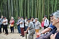 12_step_IMG_0268